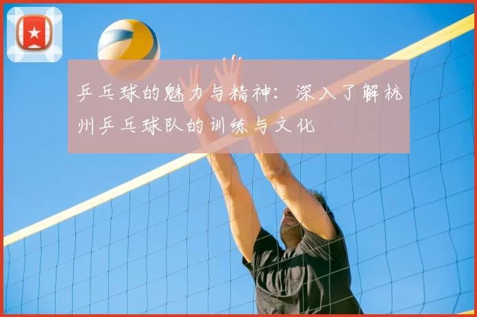 乒乓球的魅力与精神:深入了解杭州乒乓球队的训练与文化