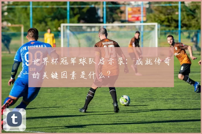 世界杯冠军球队启示录:成就传奇的关键因素是什么?