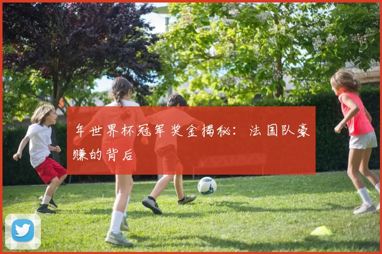 年世界杯冠军奖金揭秘：法国队豪赚的背后