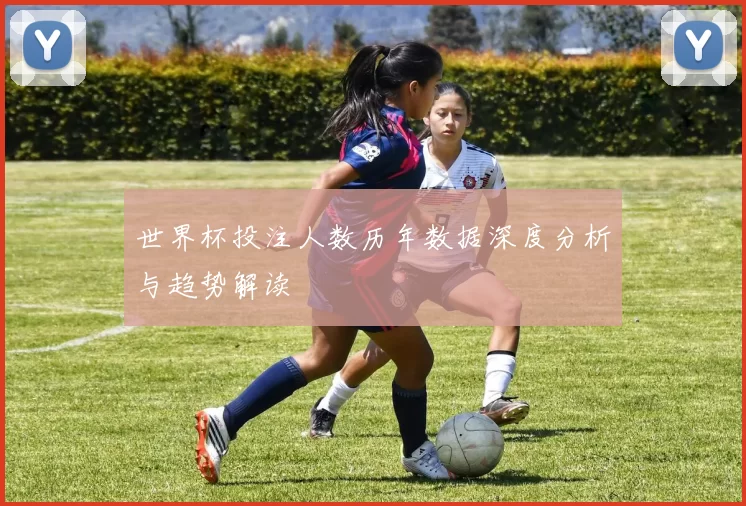 世界杯投注人数历年数据深度分析与趋势解读