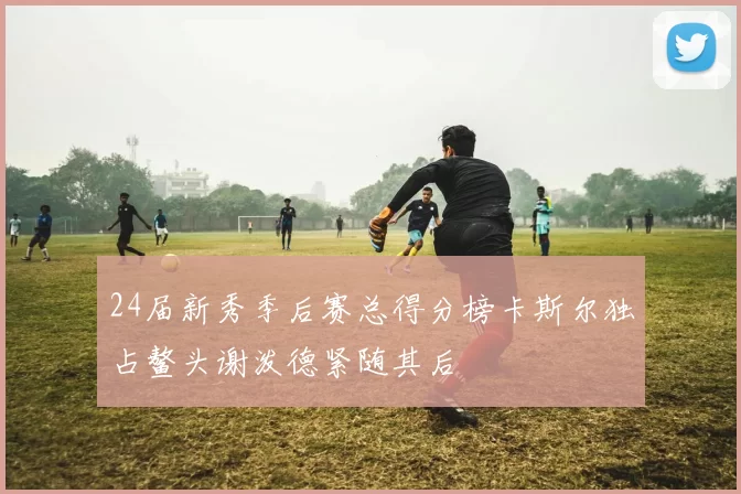 24届新秀季后赛总得分榜卡斯尔独占鳌头谢泼德紧随其后
