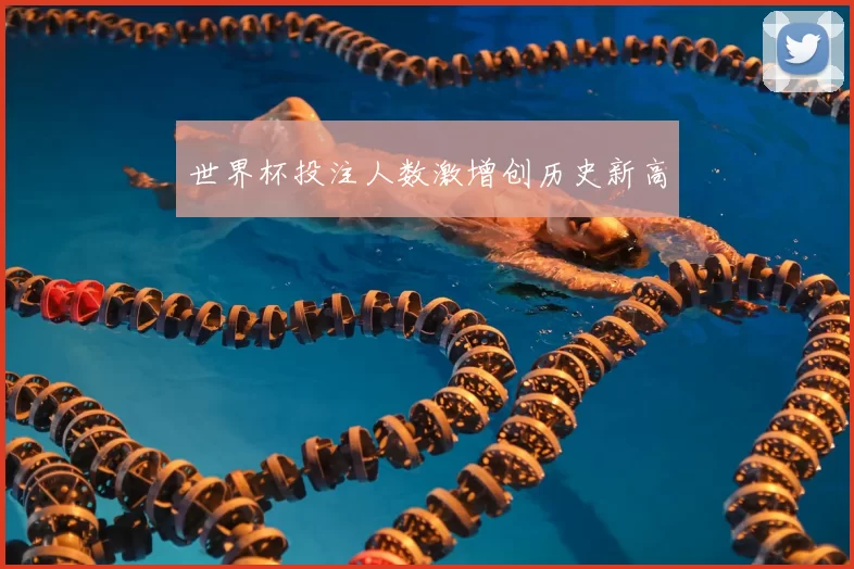 世界杯投注人数激增创历史新高