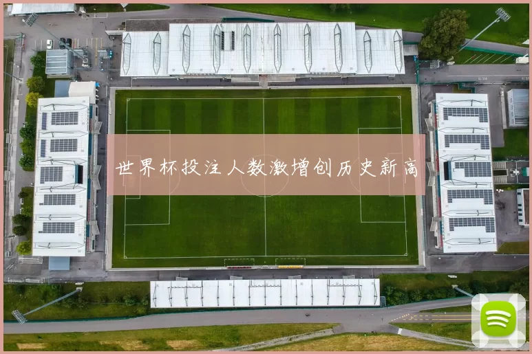 世界杯投注人数激增创历史新高