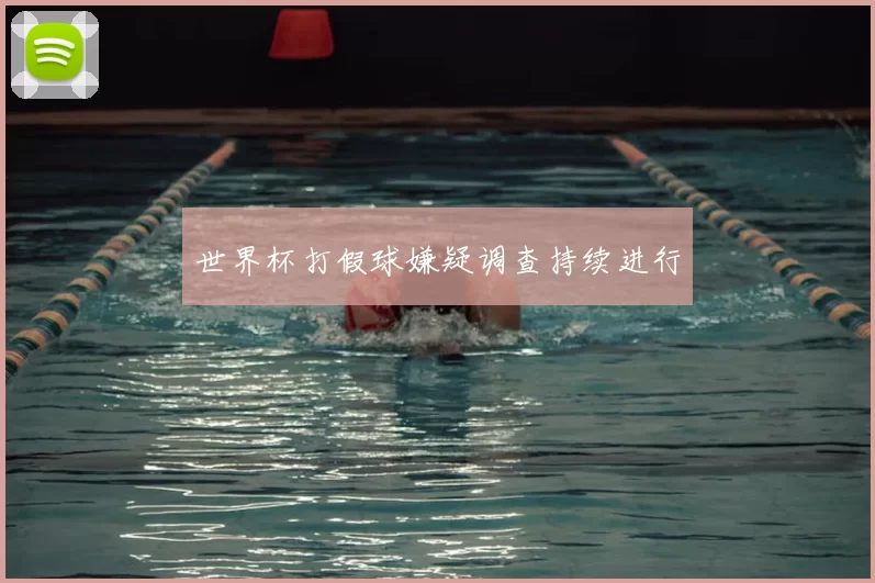 世界杯打假球嫌疑调查持续进行