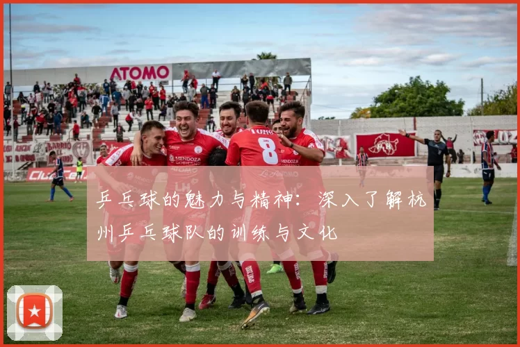 乒乓球的魅力与精神：深入了解杭州乒乓球队的训练与文化