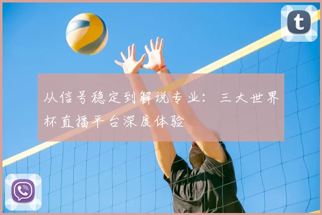 从信号稳定到解说专业：三大世界杯直播平台深度体验