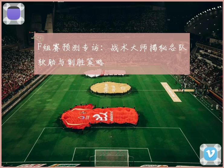 F组赛预测专访:战术大师揭秘各队软肋与制胜策略