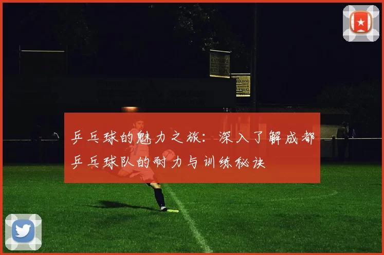 乒乓球的魅力之旅:深入了解成都乒乓球队的耐力与训练秘诀
