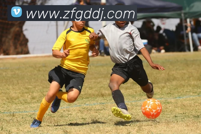 彩神vllAPP 高清赛事图